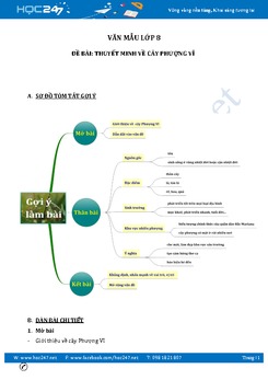 Thuyết minh về cây phượng vĩ