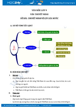 Thuyết minh về cây lúa nước Việt Nam