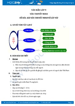 Thuyết minh về cây vải ở quê em