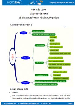 Thuyết minh về cây bưởi quê em