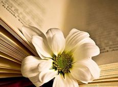 Soạn văn 11 Một thời đại trong thi ca tóm tắt