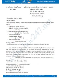 Đề thi vào 10 môn Ngữ văn năm 2018 Trường THPT Chuyên Lê Hồng Phong  - Nam Định
