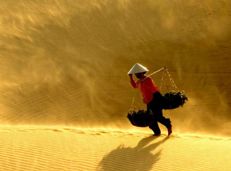 Soạn văn 11 Thương vợ tóm tắt