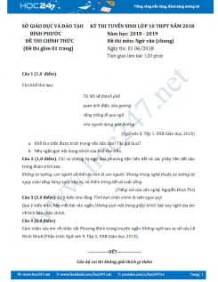 Đề thi vào 10 môn Ngữ văn năm học 2018 Sở GD&ĐT Tỉnh Bình Phước
