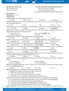 Đề thi THPT Quốc Gia môn Sinh năm 2018 - Có gợi ý đáp án
