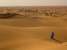 Soạn văn 11 Bài ca ngắn đi trên bãi cát tóm tắt