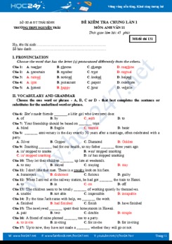 Đề kiểm tra 1 tiết lần 1 HK1 Tiếng Anh lớp 11 - THPT Nguyễn Trãi