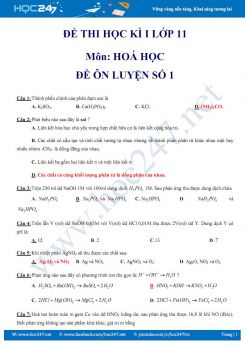 Đề thi trắc nghiệm HK1 môn Hóa học 11 có đáp án- Đề ôn luyện số 1