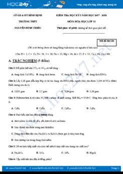 Đề kiểm tra HK1 môn Hóa học 11 trường THPT Nguyễn Đình Chiểu- Bình Định