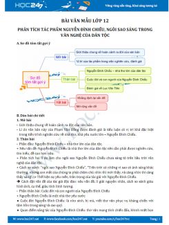 Phân tích tác phẩm Nguyễn Đình Chiểu, ngôi sao sáng trong văn nghệ của dân tộc