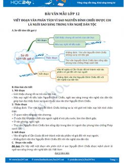 Viết đoạn văn phân tích vì sao Nguyễn Đình Chiểu được coi là ngôi sao sáng trong nền văn nghệ dân tộc