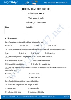 Đề và đáp án kiểm tra 1 tiết HK1 môn Sinh học 9 năm học 2018-2019