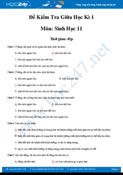 Đề kiểm tra giữa HK1 môn Sinh học 11 có đáp án trắc nghiệm