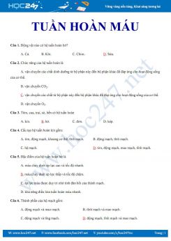 Đề kiểm tra trắc nghiệm chuyên đề Tuần hoàn máu Sinh học lớp 11