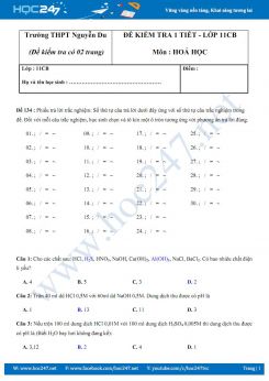 Đề kiểm tra giữa HK1 môn Hóa học 11 trường THPT Nguyễn Du có đáp án