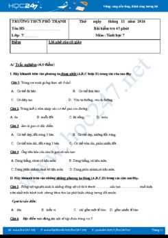 Đề kiểm tra 1 tiết HK 1 môn Sinh học 7 có đáp án trường THCS Phổ Thạnh