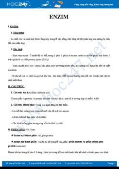Lý thuyết và phương pháp giải bài tập Enzim Sinh học 10