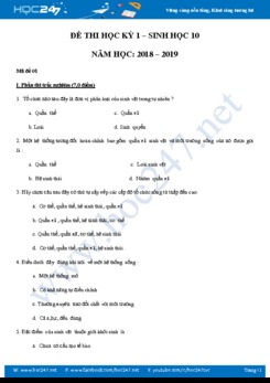 Đề thi trắc nghiệm học kì 1 môn Sinh học 10 năm học 2018-2019