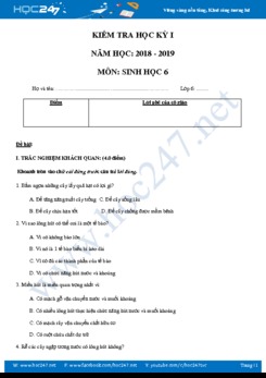 Đề thi và đáp án học kì 1 môn Sinh học 6 năm học 2018-2019