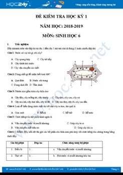 Đề thi học kì 1 môn Sinh học 6 năm học 2018-2019 có đáp án