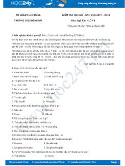 Đề thi HK 1 môn Ngữ văn lớp 8 năm 2017 Trường THCS Đồng Nai