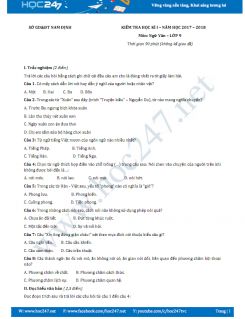 Đề thi HK 1 môn Ngữ văn lớp 9 năm 2017 Sở GD&ĐT Nam Định