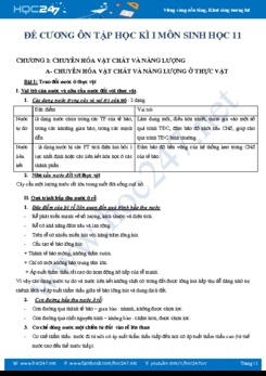 Đề cương ôn tập học kỳ 1 môn Sinh học 11 năm học 2018-2019