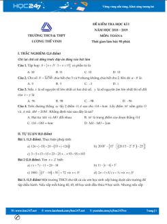 Đề thi HK1 môn Toán 6 năm 2018 - 2019 Trường THCS&THPT Lương Thế Vinh