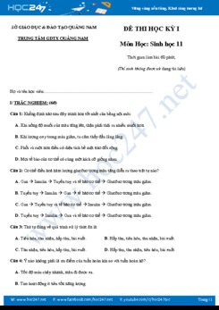Đề thi HK1 môn Sinh học 11 năm 2018 TTGDTX Quảng Nam