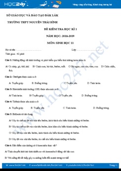 Đề thi HK1 môn Sinh học 11 trường THPT Nguyễn Thái Bình- Đaklak
