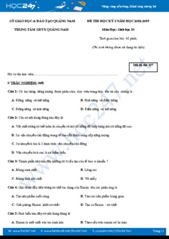 Đề thi HK1 môn Sinh học 10 năm 2018 TTGDTX Quảng Nam