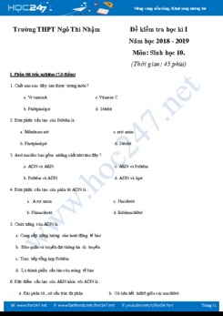 Đề thi HK1 môn Sinh học 10 năm 2018-2019 THPT Ngô Thì Nhậm