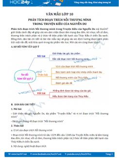 Phân tích đoạn trích Nỗi thương mình trong Truyện Kiều của Nguyễn Du