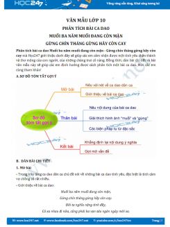 Phân tích bài ca dao Muối ba năm muối đang còn mặn - Gừng chín tháng gừng hãy còn cay