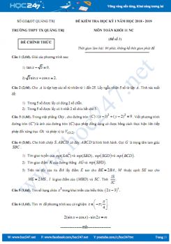 Đề thi học kì 1 môn Toán lớp 11 Trường THPT TX Quảng Trị năm học 2018 - 2019 có đáp án