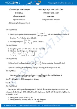 Đề thi chọn HSG môn Toán 9 Sở GD và ĐT Đồng Nai năm học 2018 - 2019