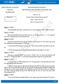 2 đề thi HSG môn Sinh lớp 9 năm 2018 - 2019