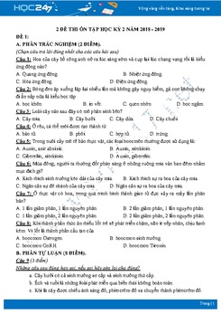 Đề ôn tập HK2 môn Sinh 11 năm 2018 - 2019-Lần 1