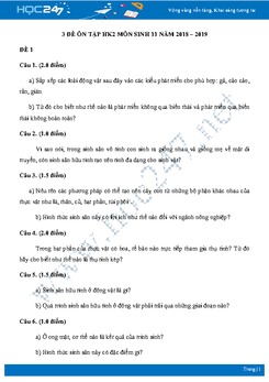 Đề ôn tập HK2 môn Sinh 11 năm 2018-2019