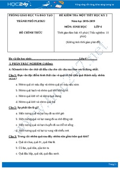 Bộ 3 đề kiểm tra 1 tiết môn Sinh 6 HK2 năm 2019