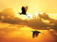 Soạn văn 11 Chiều tối tóm tắt