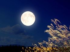 Soạn văn 8 Ngắm trăng tóm tắt