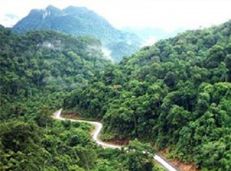 Soạn văn 8 Đi đường tóm tắt