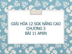 Giải Hóa 12 SGK nâng cao Chương 3 Bài 11 Amin