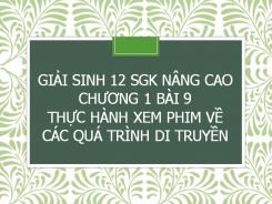 Giải Sinh 12 SGK nâng cao Chương 1 Bài 9 Thực hành Xem phim về các quá trình di truyền