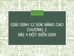 Giải Sinh 12 SGK nâng cao Chương 1 Bài 4 Đột biến gen