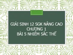 Giải Sinh 12 SGK nâng cao Chương 1 Bài 5 Nhiễm sắc thể