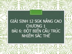Giải Sinh 12 SGK nâng cao Chương 1 Bài 6: Đột biến cấu trúc nhiễm sắc thể