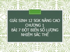 Giải Sinh 12 SGK nâng cao Chương 1 Bài 7 Đột biến số lượng nhiễm sắc thể