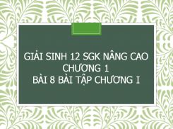 Giải Sinh 12 SGK nâng cao Chương 1 Bài 8 Bài tập chương I